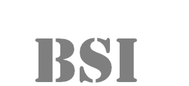 bsi